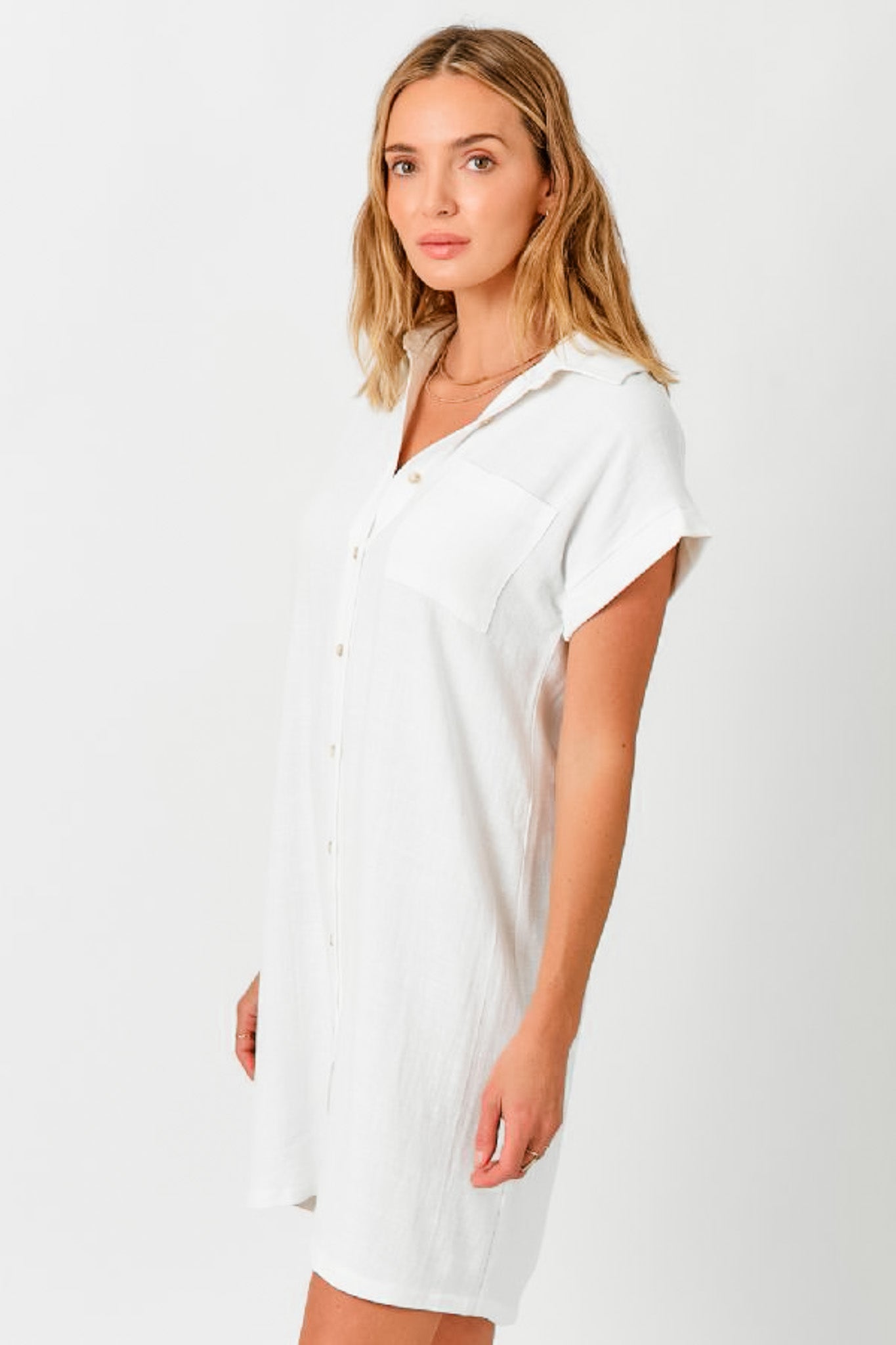 Linen Blend Dress